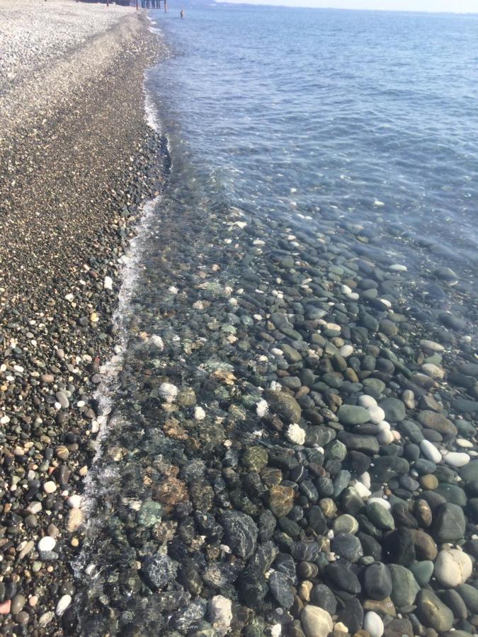 Гостевой Дом Siella Hotel Sukhumi Esterno foto